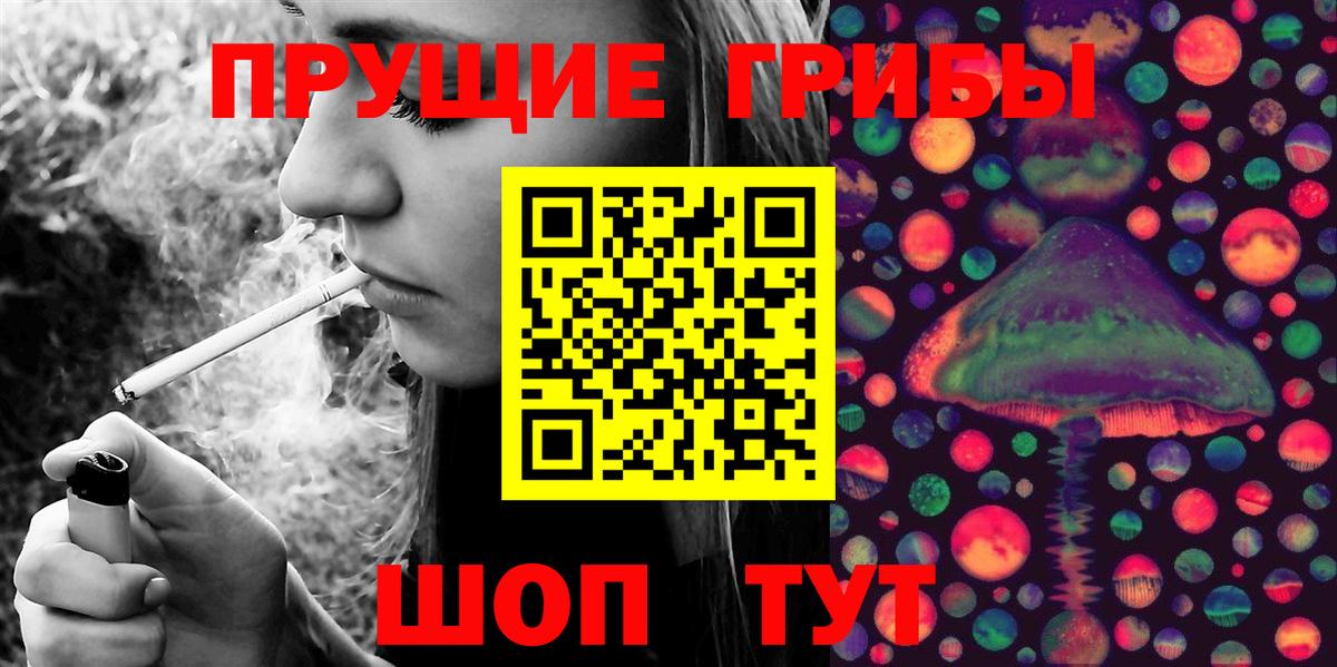 Галлюциногенные грибы GOLDEN TEACHER Апатиты