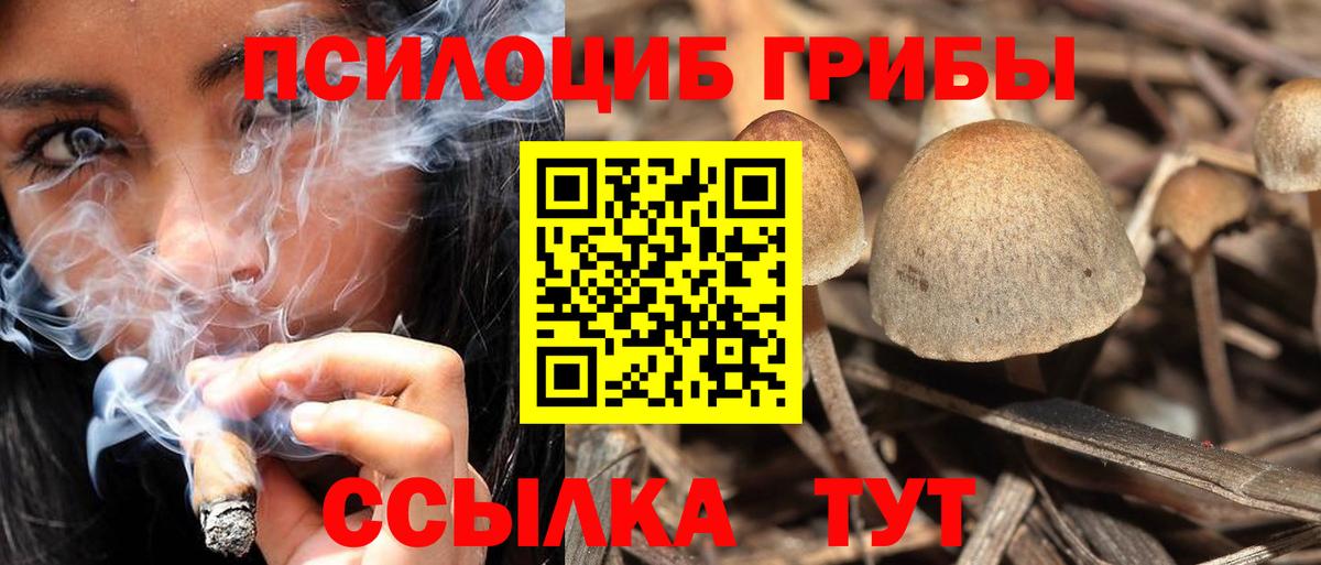 как найти закладки  Вход с VPN  Апатиты  Галлюциногенные грибы MAGIC MUSHROOMS 